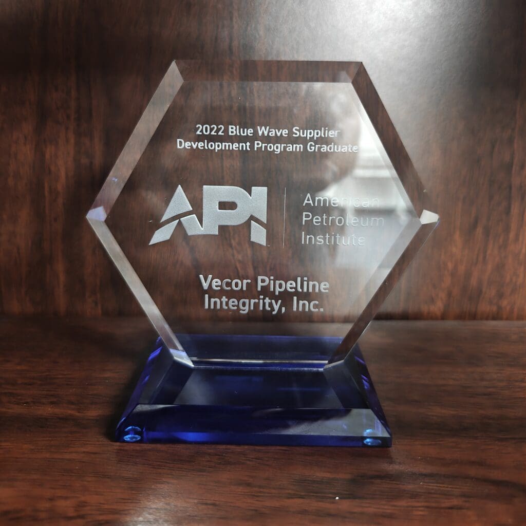 Hexagonal acrylic award engraved with API logo